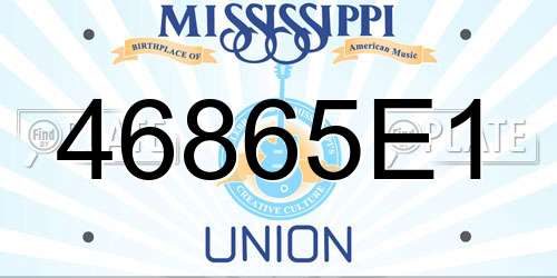 46865E1 Mississippi License Plate