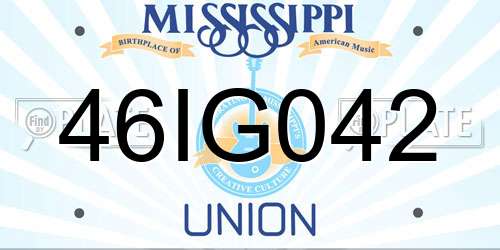 46IG042 Mississippi License Plate