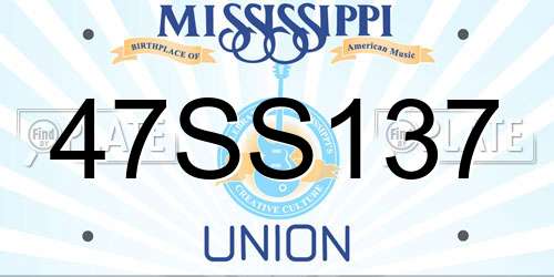 47SS137 Mississippi License Plate