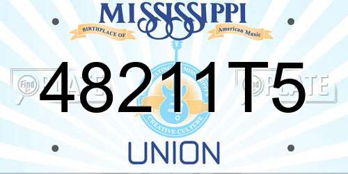 48211T5 Mississippi License Plate