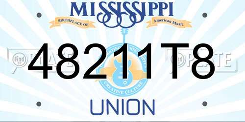 48211T8 Mississippi License Plate