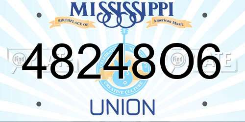 48248O6 Mississippi License Plate