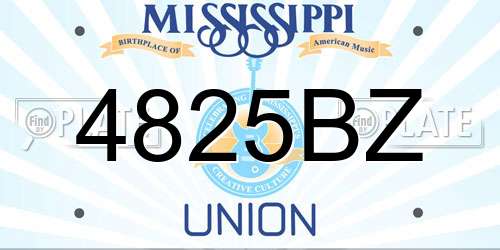 4825BZ Mississippi License Plate