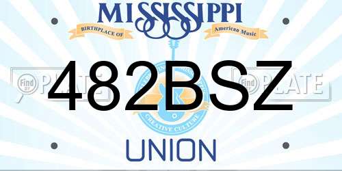 482BSZ Mississippi License Plate