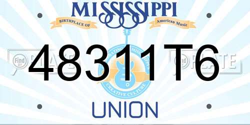 48311T6 Mississippi License Plate
