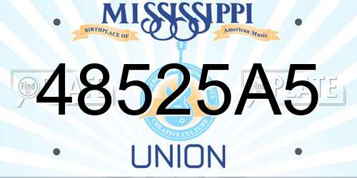 48525A5 Mississippi License Plate
