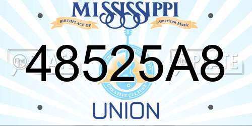 48525A8 Mississippi License Plate
