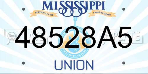 48528A5 Mississippi License Plate