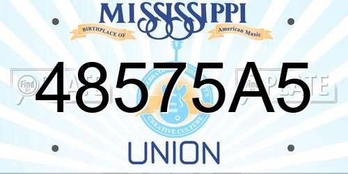 48575A5 Mississippi License Plate