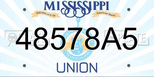 48578A5 Mississippi License Plate