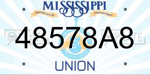 48578A8 Mississippi License Plate
