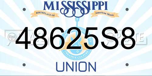 48625S8 Mississippi License Plate