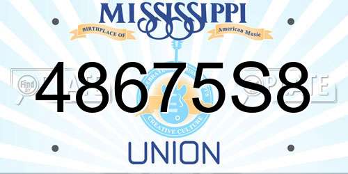 48675S8 Mississippi License Plate
