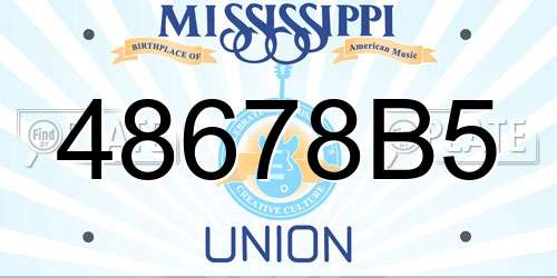 48678B5 Mississippi License Plate