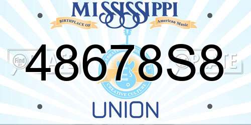 48678S8 Mississippi License Plate