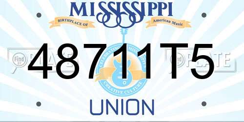 48711T5 Mississippi License Plate