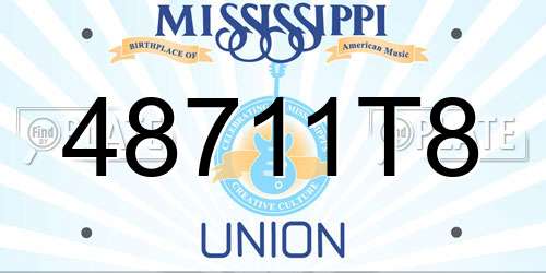 48711T8 Mississippi License Plate