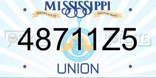 48711Z5 Mississippi License Plate