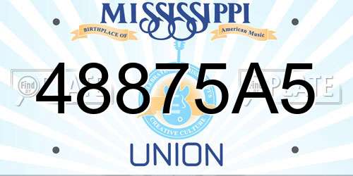 48875A5 Mississippi License Plate