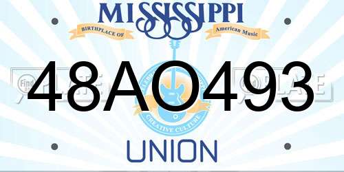 48AO493 Mississippi License Plate