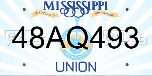 48AQ493 Mississippi License Plate