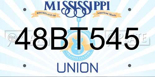 48BT545 Mississippi License Plate