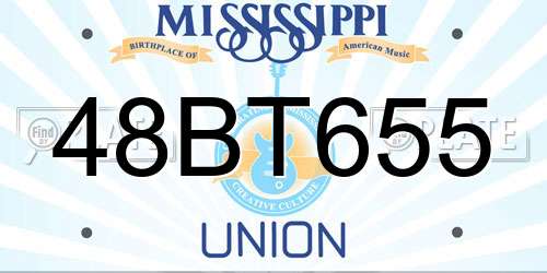 48BT655 Mississippi License Plate
