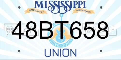 48BT658 Mississippi License Plate