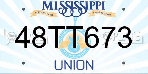 48TT673 Mississippi License Plate