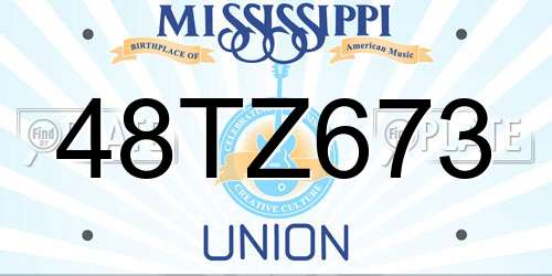 48TZ673 Mississippi License Plate