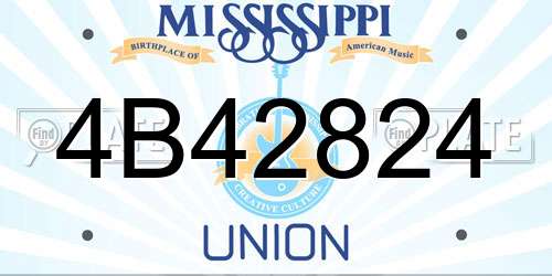4B42824 Mississippi License Plate