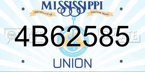 4B62585 Mississippi License Plate