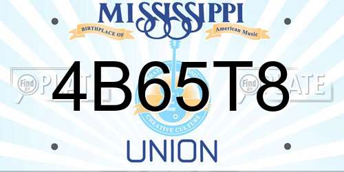 4B65T8 Mississippi License Plate