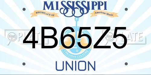 4B65Z5 Mississippi License Plate