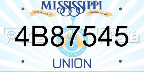 4B87545 Mississippi License Plate