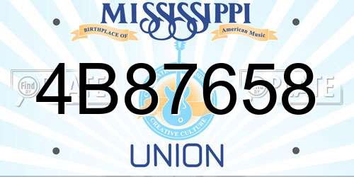 4B87658 Mississippi License Plate
