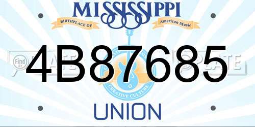 4B87685 Mississippi License Plate