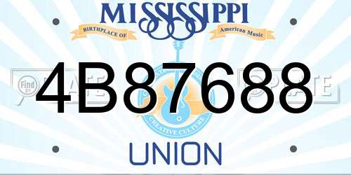 4B87688 Mississippi License Plate