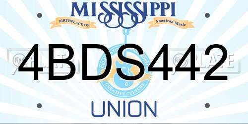 4BDS442 Mississippi License Plate