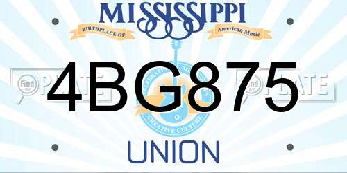 4BG875 Mississippi License Plate