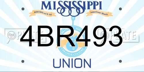 4BR493 Mississippi License Plate