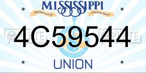 4C59544 Mississippi License Plate