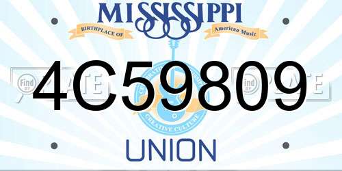 4C59809 Mississippi License Plate