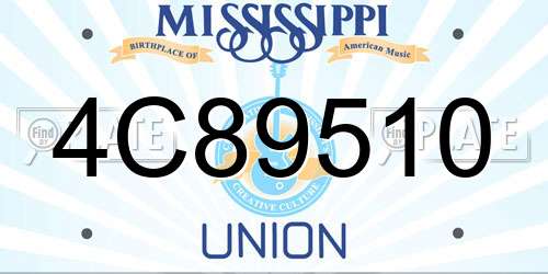 4C89510 Mississippi License Plate
