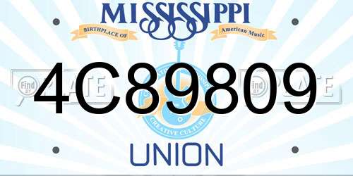 4C89809 Mississippi License Plate