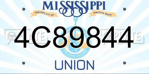 4C89844 Mississippi License Plate