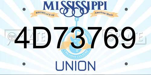 4D73769 Mississippi License Plate
