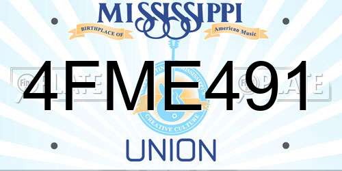 4FME491 Mississippi License Plate