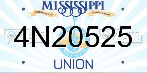 4N20525 Mississippi License Plate