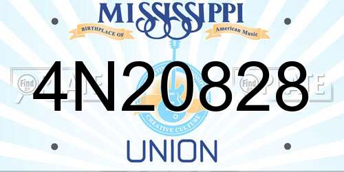 4N20828 Mississippi License Plate